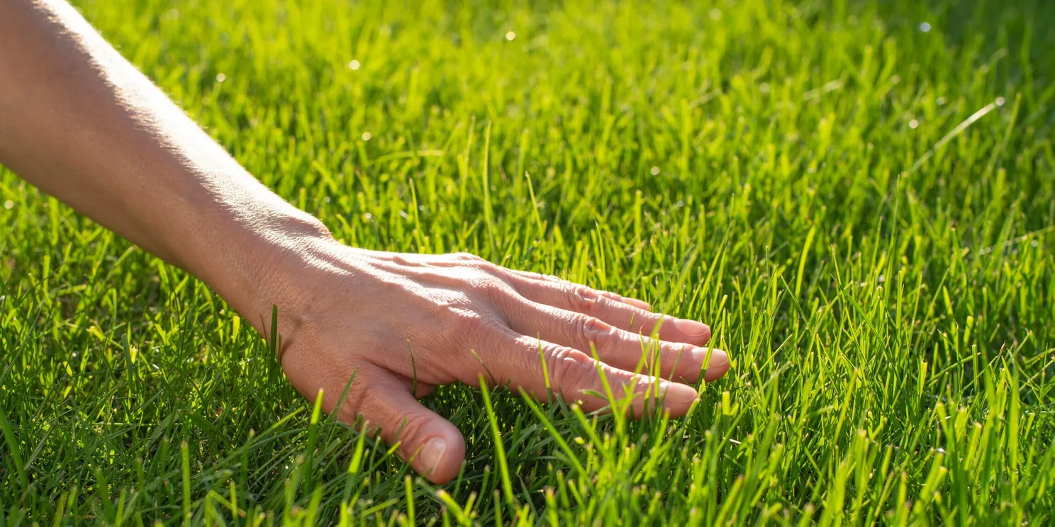 Jak dbać o trawnik? Pielęgnacja trawnika w 7 krokach • obido