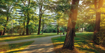 Piasta Park II aż 6 miesięcy wcześniej
