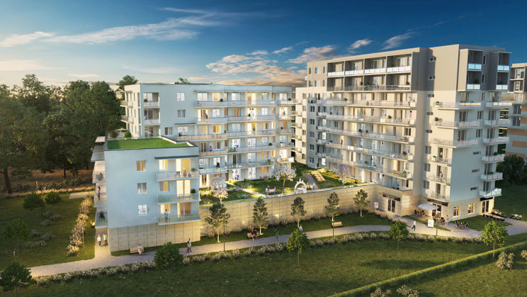 Comfort City - Perła