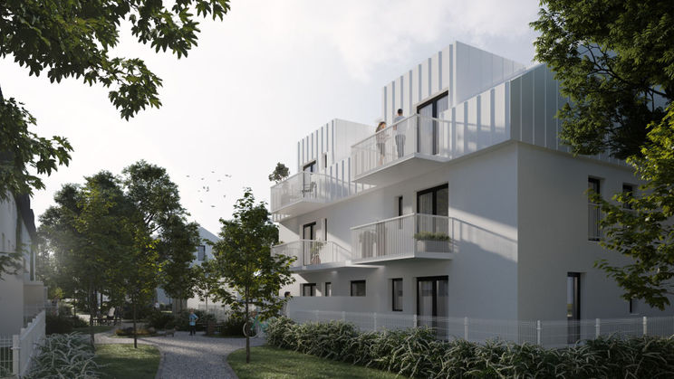 Zielony Brochów 7