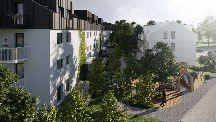 Zielony Brochów 7